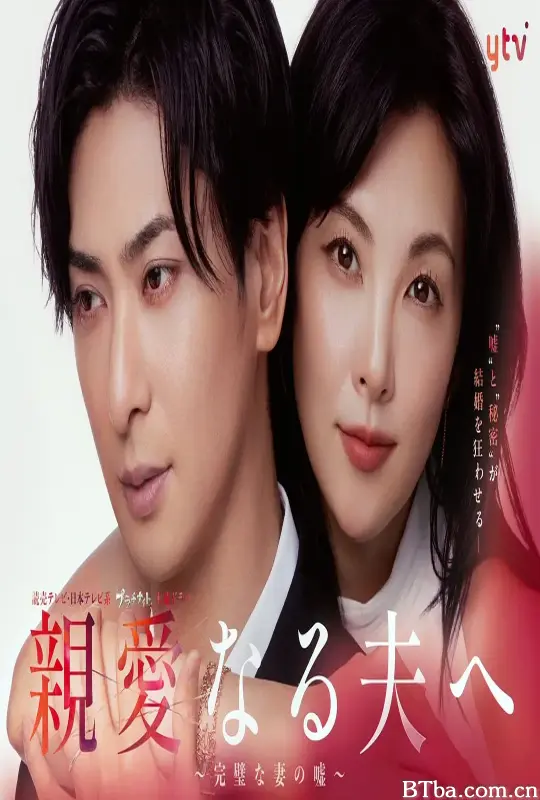 致亲爱的丈夫~完美妻子的谎言~/親愛なる夫へ～完璧な妻の嘘～