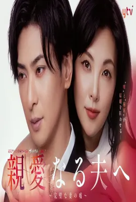 致亲爱的丈夫~完美妻子的谎言~/親愛なる夫へ～完璧な妻の嘘～