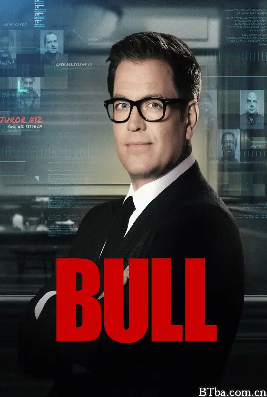 庭审专家 第六季/Bull Season 6
