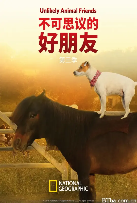 不可思议的好朋友 第三季 Unlikely Animal Friends Season 3 (2012) 1080P BT磁力 迅雷网盘下载-影音屋