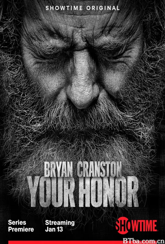 法官大人 第二季/Your Honor Season 2