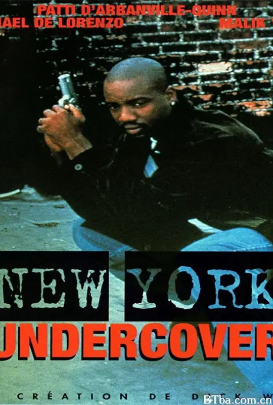 纽约卧底警察/New York Undercover
