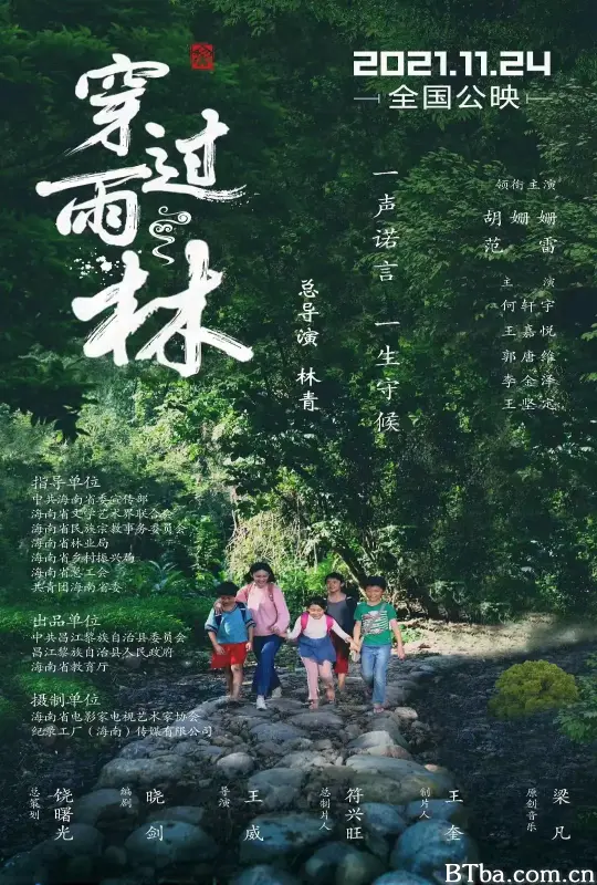 穿过雨林