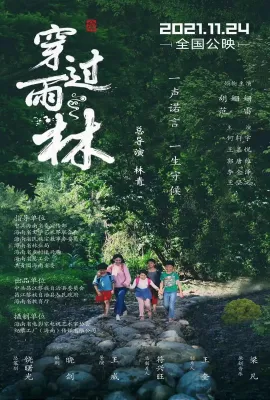 穿过雨林