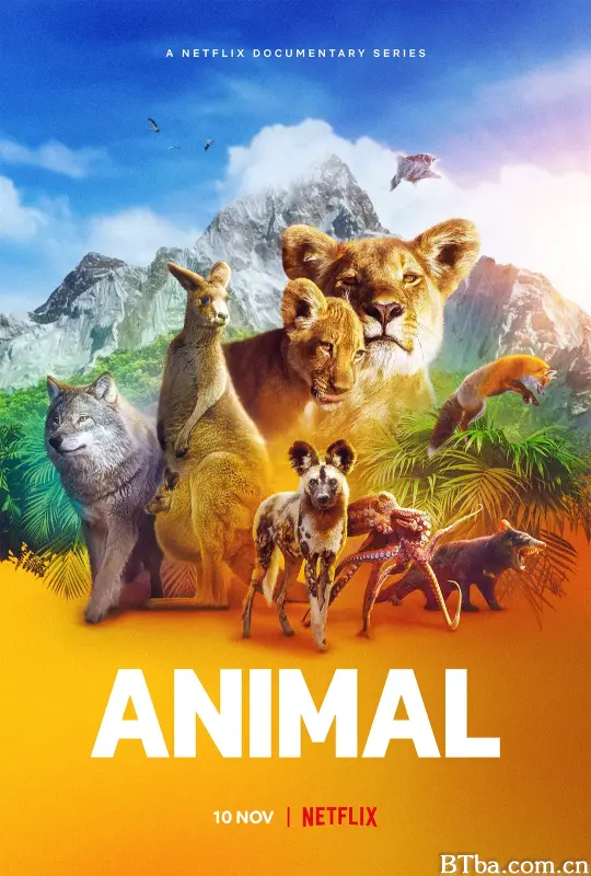 动物本色 第一季/Animal Season 1