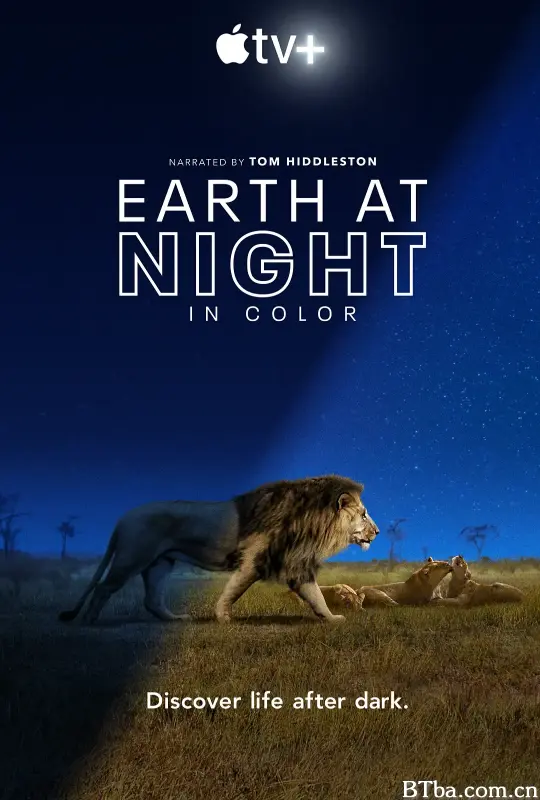 夜色中的地球 第一季/Earth at Night in Color Season 1