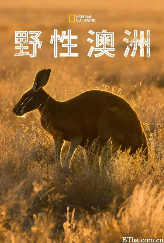 野性澳大利亚/Wild Australia