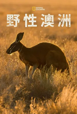 野性澳大利亚/Wild Australia