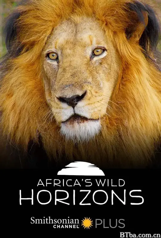 非洲狂野地平线 第一季/Africa's Wild Horizons Season 1