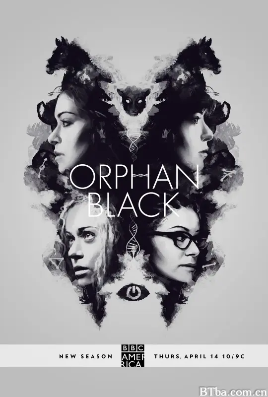 黑色孤儿 第四季/Orphan Black Season 4