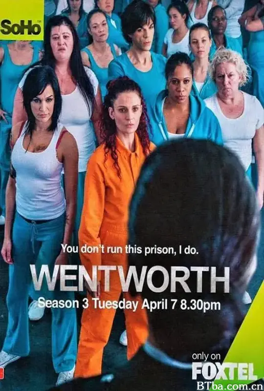 温特沃斯 第三季/Wentworth Season 3