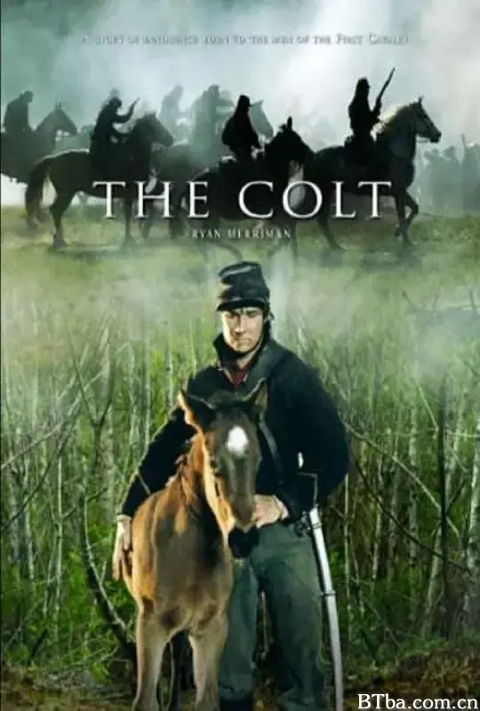 驹儿/The Colt