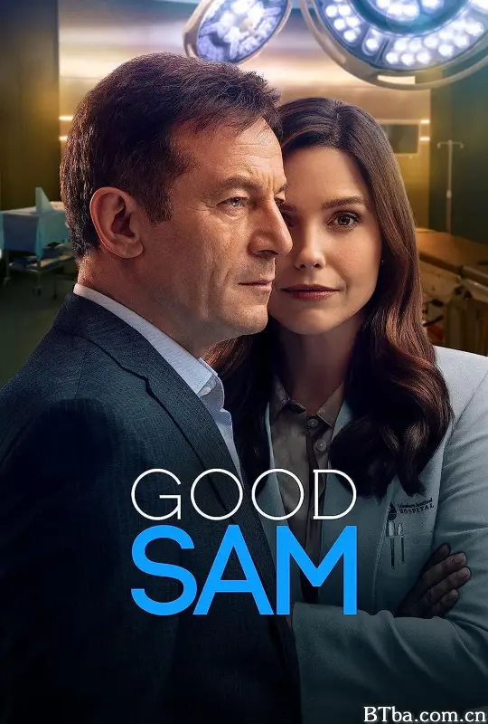 仁医莎姆/Good Sam