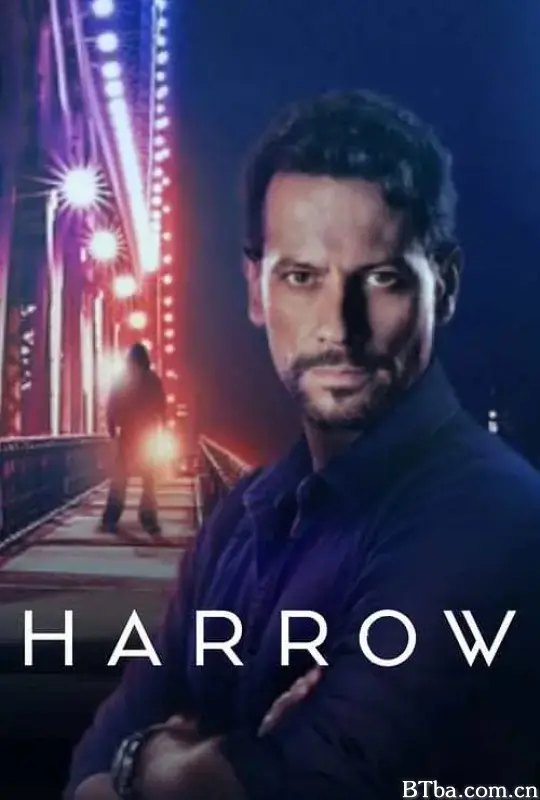 神秘法医 第二季/Harrow Season 2