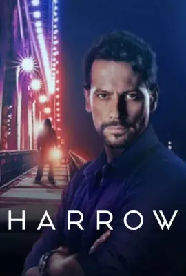 神秘法医 第二季/Harrow Season 2