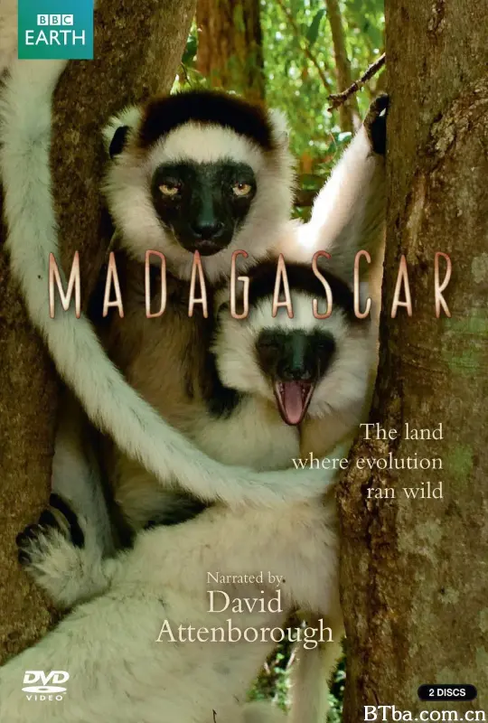 马达加斯加/Madagascar