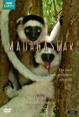 马达加斯加/Madagascar