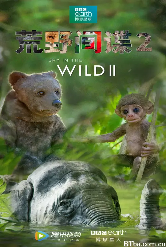 荒野间谍 第二季