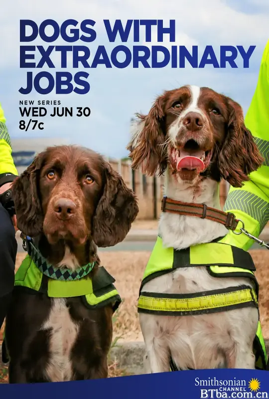 狗狗的非凡工作 第一季/Dogs with Extraordinary Jobs Season 1