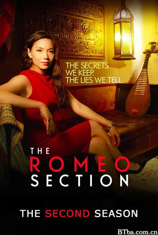 罗密欧间谍 第二季/The Romeo Section Season 2