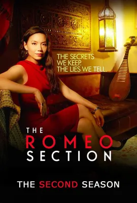 罗密欧间谍 第二季/The Romeo Section Season 2