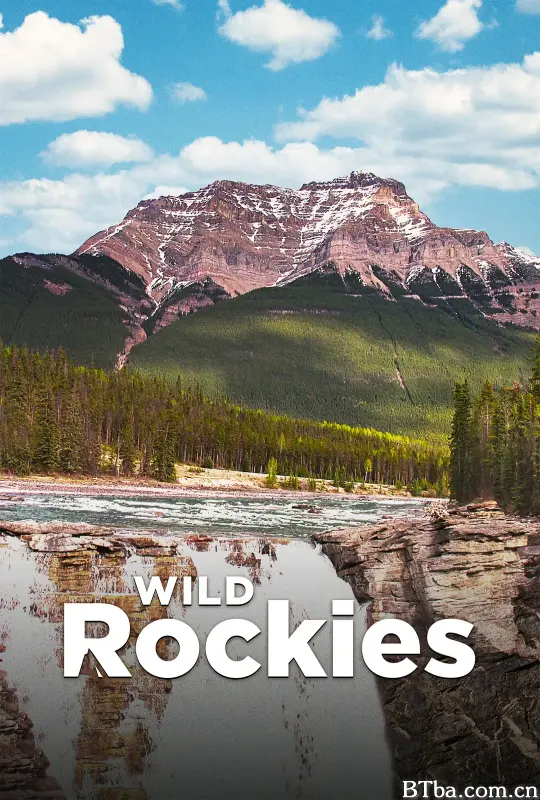 野性落基山/Wild Rockies