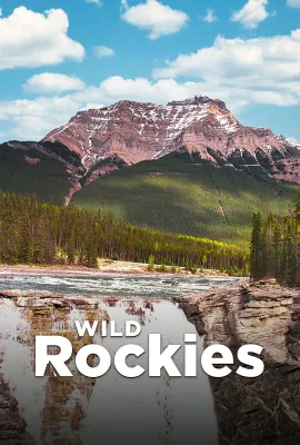 野性落基山/Wild Rockies