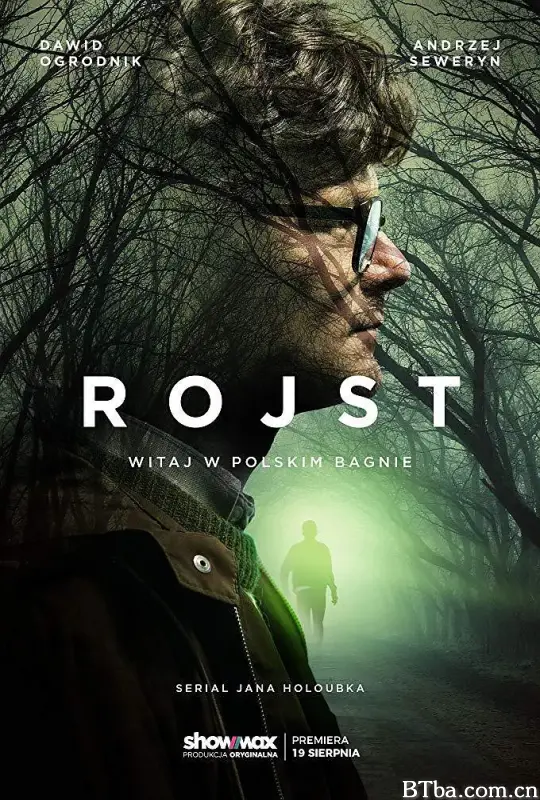 迷镇 第一季/Rojst