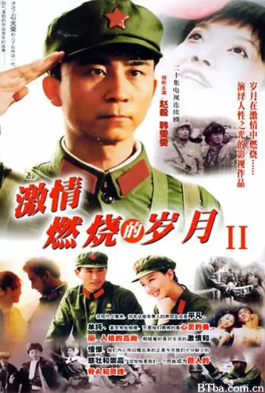 激情燃烧的岁月2