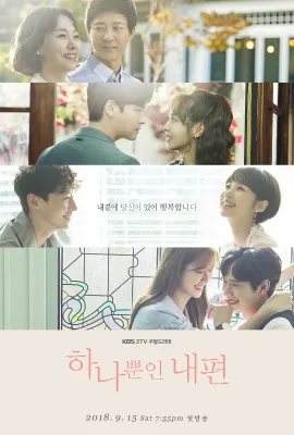 我唯一的拥护者/하나뿐인 내편