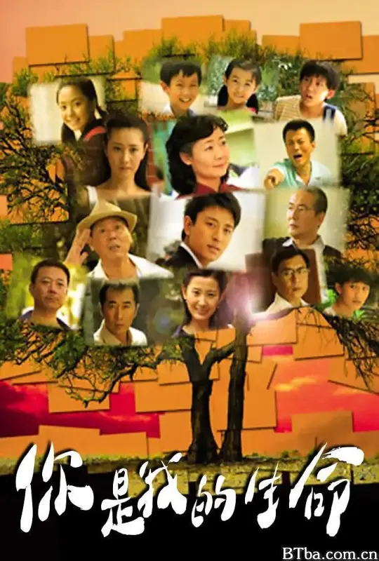 你是我的生命