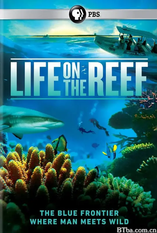 跃动大堡礁 第一季/Life on the Reef Season 1