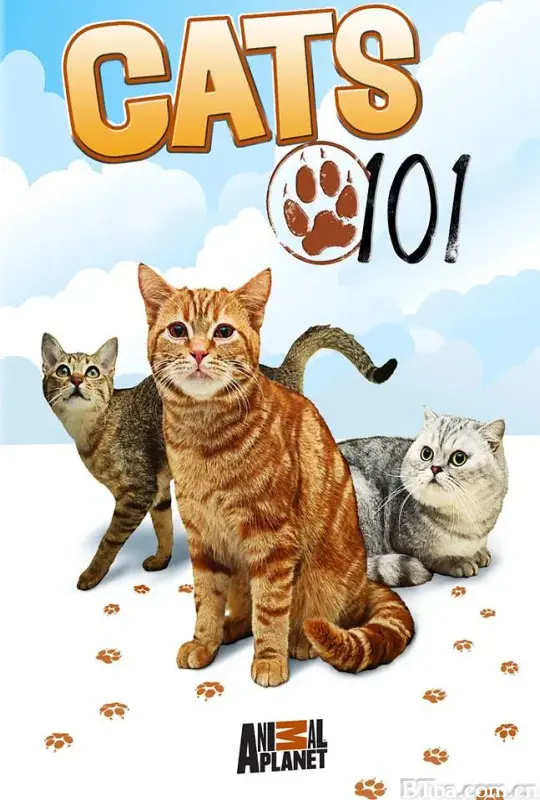 喵星人百科 第四季/Cats 101 Season 4