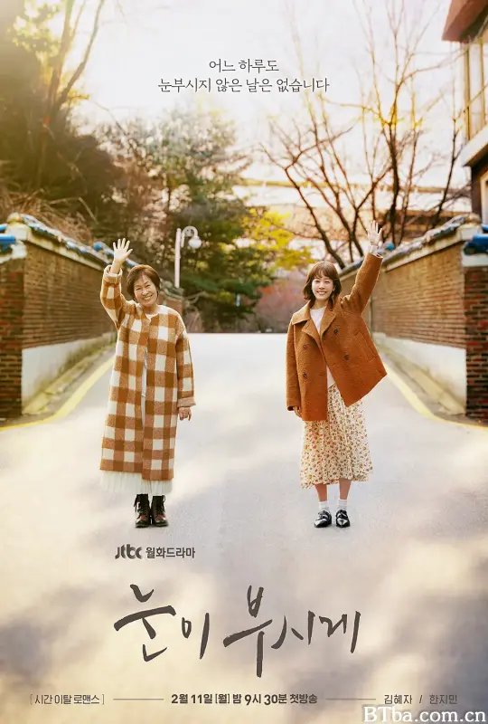 耀眼/눈이 부시게