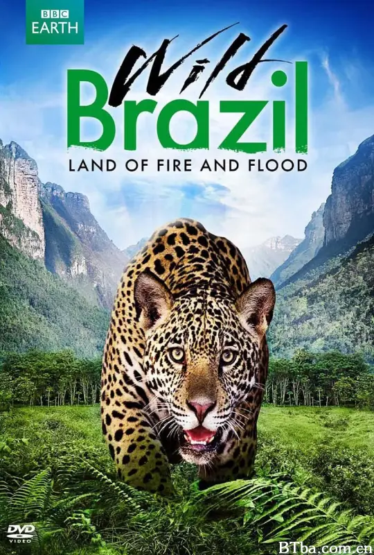 狂野巴西/Wild Brazil