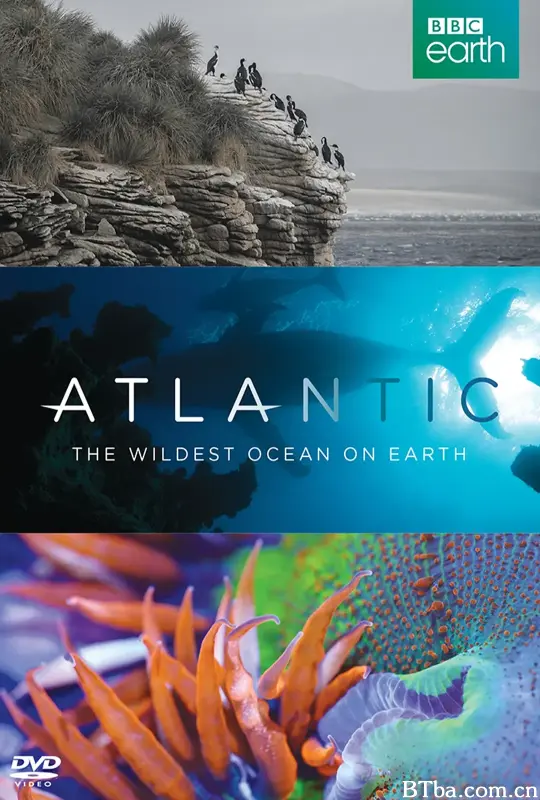 大西洋：地球最狂野的海洋/Atlantic: The Wildest Ocean on Earth