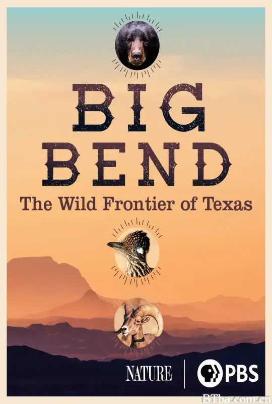 大本德：德克萨斯州的荒野边疆 第三十九季 Big Bend: The Wild Frontier of Texas Season 39 (2021) 1080P BT磁力 迅雷网盘下载