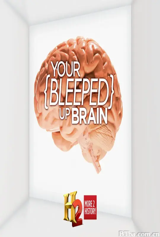 短路的大脑 第一季/your bleeped up brain Season 1