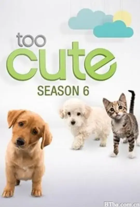 萌宠成长记 第六季/Too Cute! Season 6