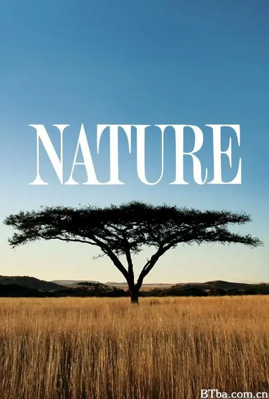 自然/Nature