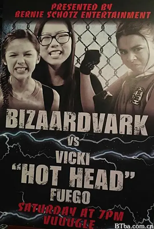 音乐玩家 第三季/Bizaardvark Season 3
