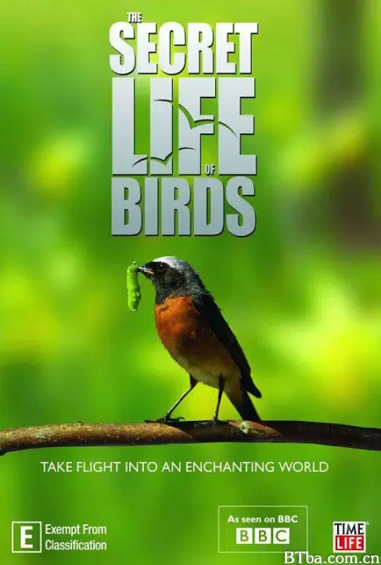 鸟类秘闻/Secret Life of Birds