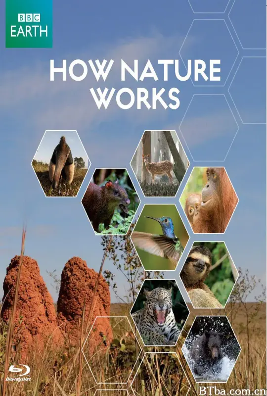 自然的运作/How Nature Works