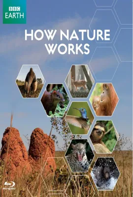 自然的运作/How Nature Works