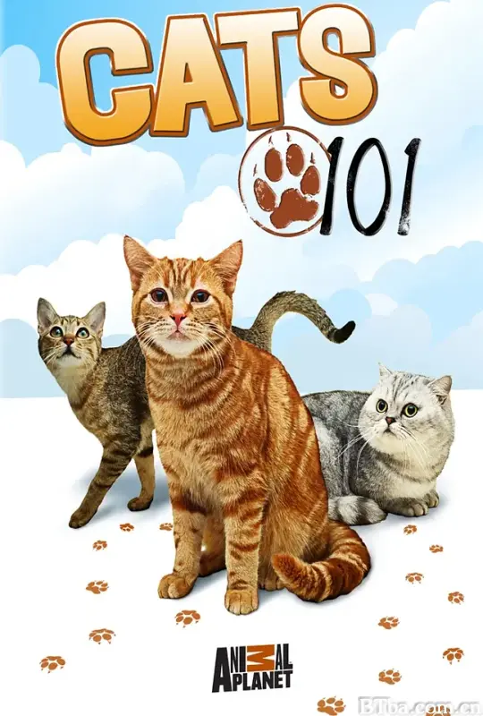 喵星人百科 第一季/CATS 101 Season 1
