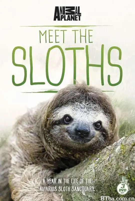 树懒的快乐生活/Meet The Sloths