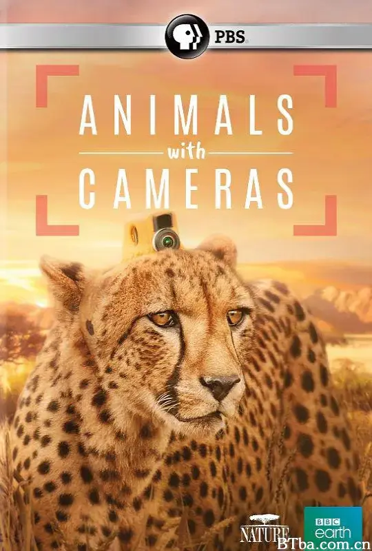 假如动物会摄影/Animals with Cameras