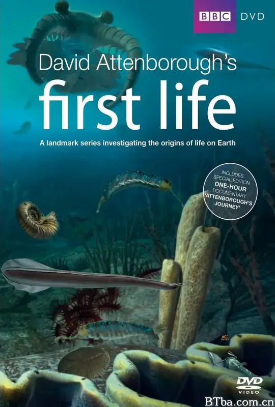 生命的起源/First Life