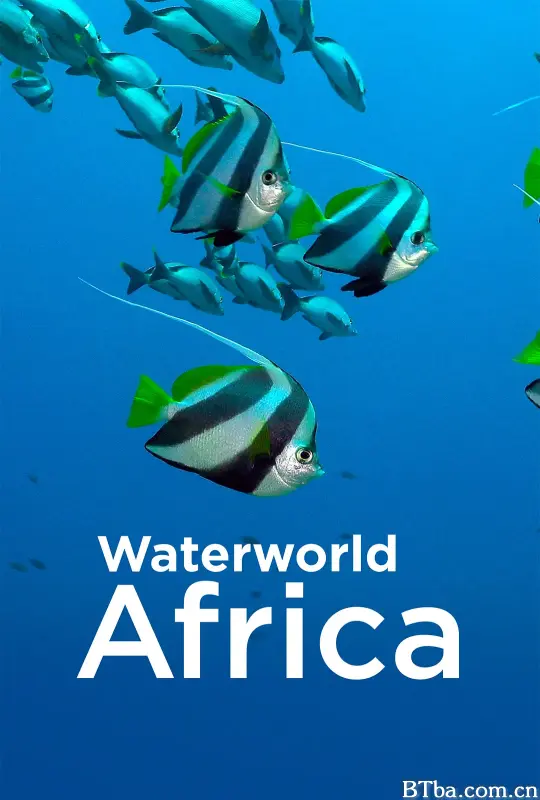 非洲水世界 第一季/Waterworld Africa Season 1