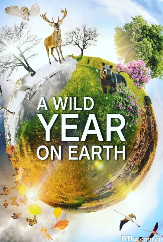狂野地球/A Wild Year on Earth